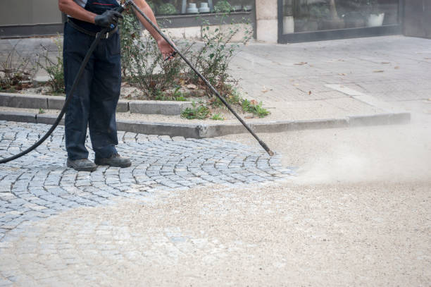 Best House Exterior Washing  in Glenmont, MD
